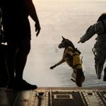 A war dog and his trainer go for a jump.